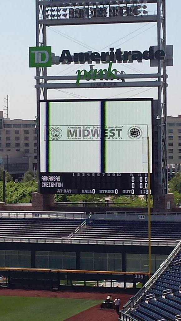 BaconDocJKA's tweet photo. Nice welcome to Ameritrade Park. Woo Pig Sooie! #BennyBaseball @CritterChatter @RazorHawgWPS @AnimalScienceUA http://t.co/KE3WOKnumT