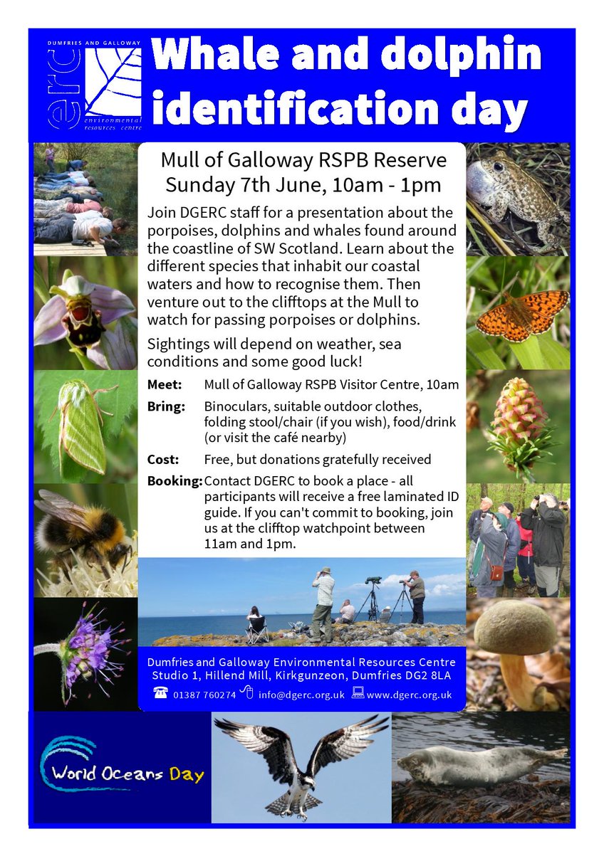 Whale and Dolphin watch <a href="/DGERC/">Герц Андреевич</a> <a href="/RSPBDandG/">RSPBDumfriesGalloway</a> @RSPBGlasgow <a href="/DGCRangers/">DGC Ranger Service</a> <a href="/WildSeasonsDG/">WildSeasonsDG</a>