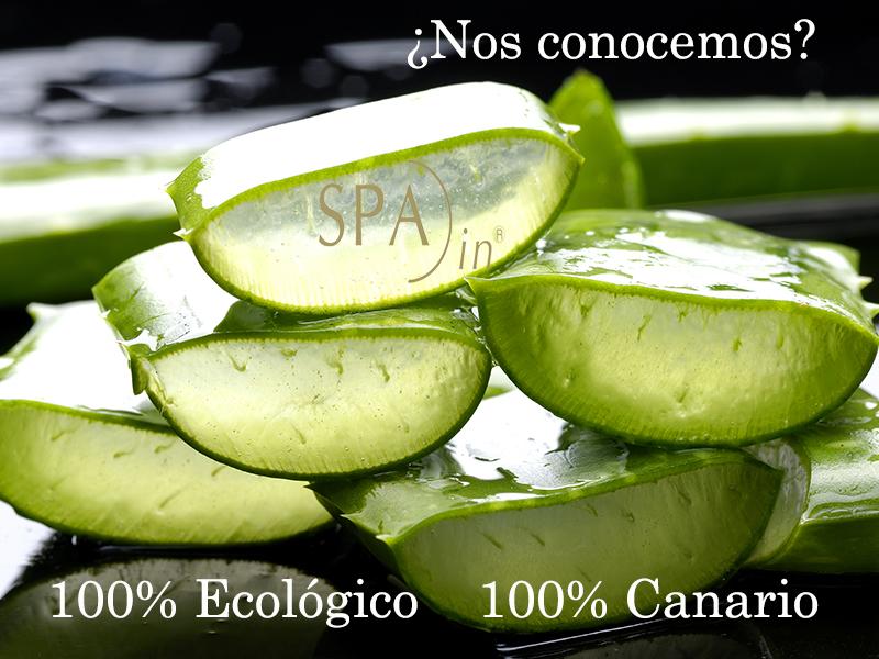 CanariasExclusi's tweet photo. Un producto 100% canario, nada de #Aloe  de otros países.
http://t.co/9T1tiB1ppO #calidadExclusive @SpaInCosmetics http://t.co/7hLNhRFtj8
