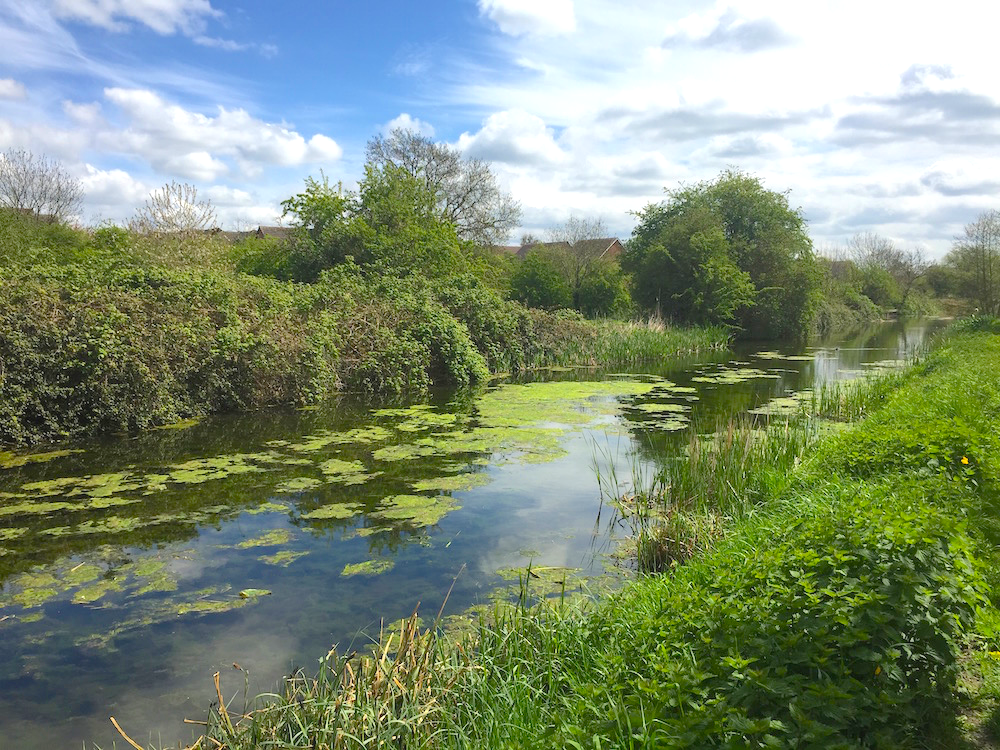 #WestBridgford YouTube Channel
wbwi.re/1HYndKQ 
#Nottingham
#Notts
#EastMidlands