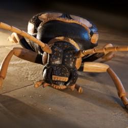 Insect Week tweet media
