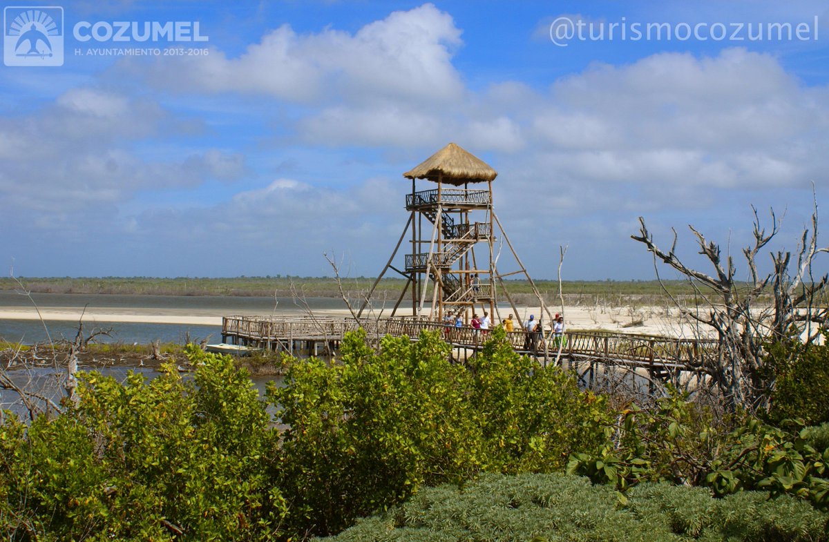 TurismoCozumel's tweet photo. Parque ecoturístico Punta Sur ideal para tomar fotos de aves exóticas y ver a los cocodrilos en su hábitat natural. http://t.co/uDI5hBhLvC
