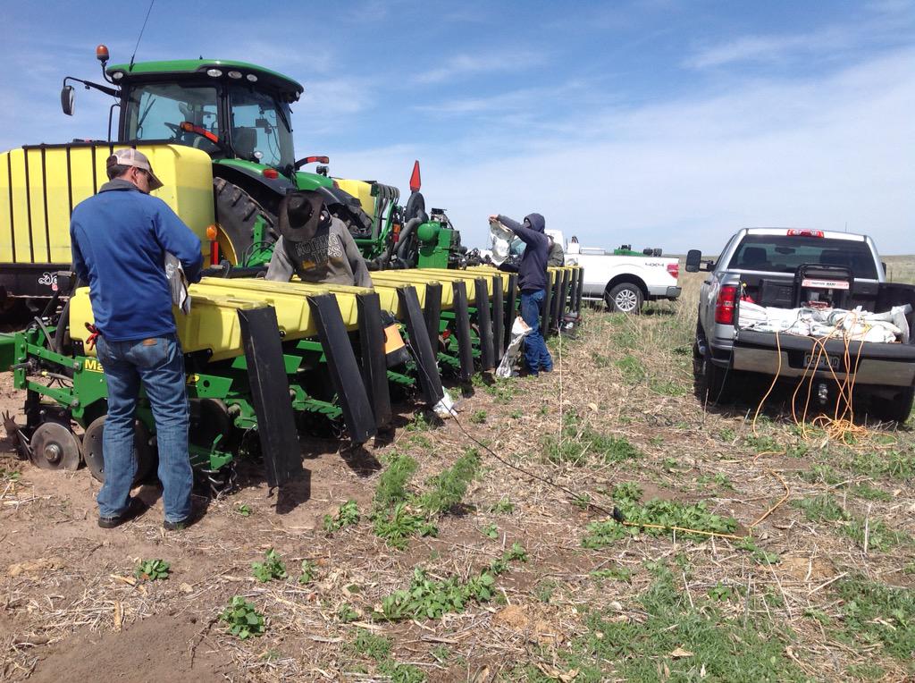 ChannelSeed's tweet image. RT @cowsncornag: Just finished 12row FTN #testplot w 16row planter just for you @CRSullivan11 @Channel_Colo