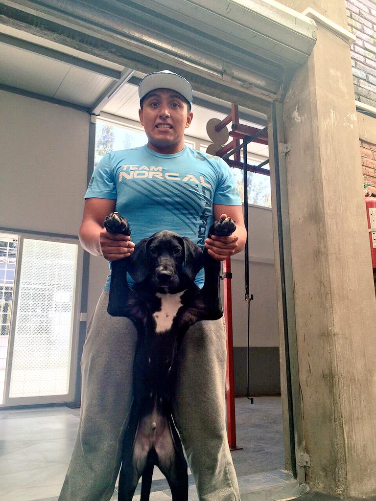 Aldo_VargasR's tweet image. \😁/ 🐶 my friend D.T, new  hyperdog #hyperstrong #CrossFit #crossfitmx #crossfitdog