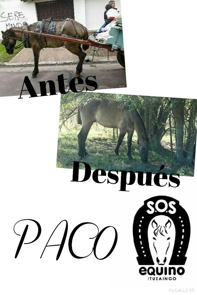 SosEquino's tweet photo. http://t.co/SxRB8nk808