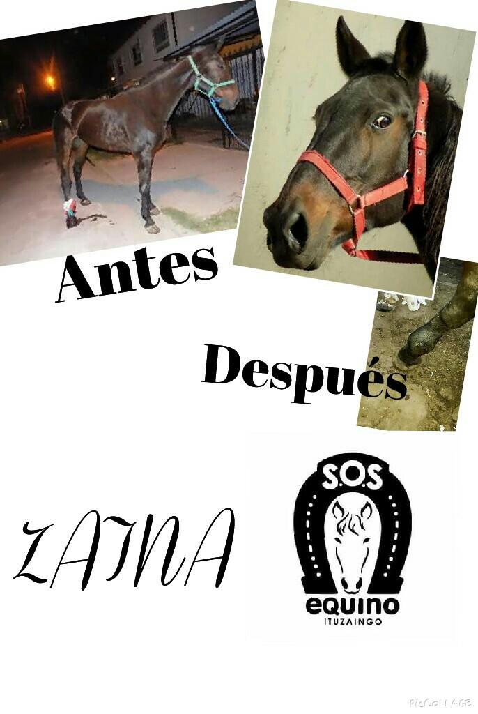 SosEquino's tweet photo. http://t.co/CvSiIX2RC1