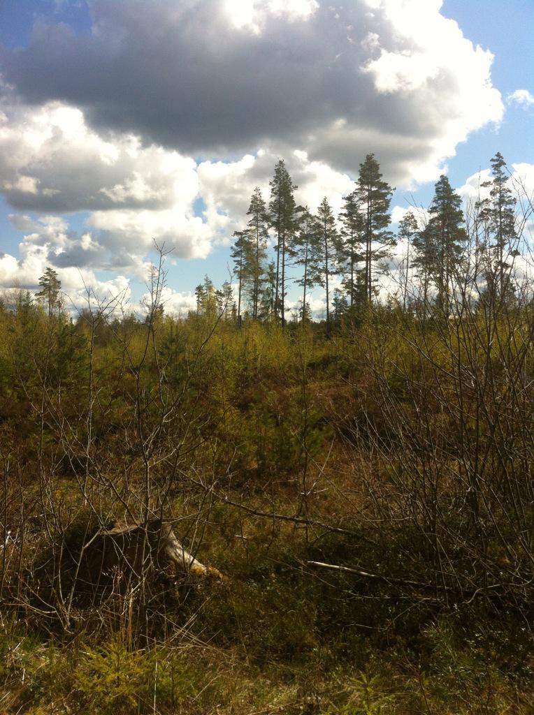 andreaslovgren1 tweet picture