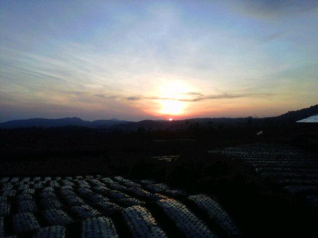 infotegal's tweet photo. Selamat pagi dari Bumijawa, 18 thn hidup pertama kali lihat sunrise http://t.co/fuF99rBuzZ by: @anandanuer