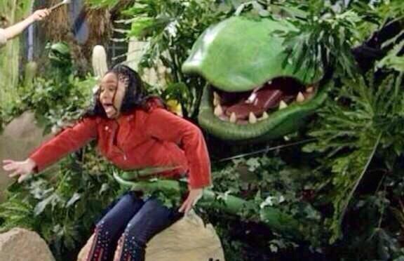 Skunkmagazine's tweet photo. When you try leave for work but the kush want you to stay. http://t.co/zKDezGFWia