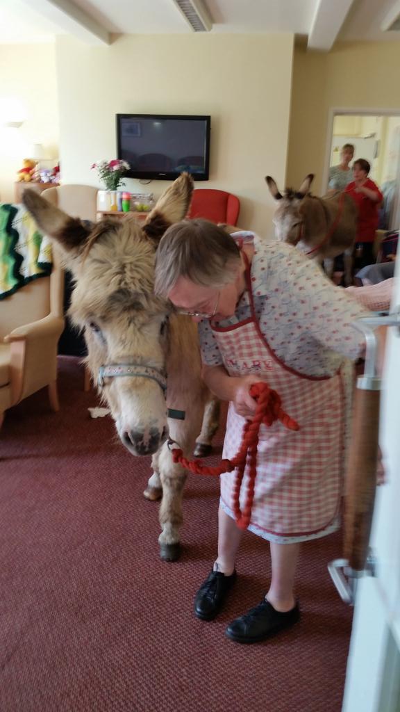 Danny Donkey & Pals tweet media