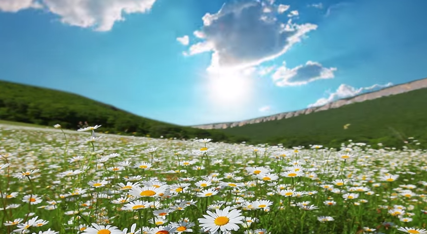 XLERATORHD's tweet image. If you love the earth and choose #XLERATOR over paper towels, share or RT! bit.ly/1usR4Bt