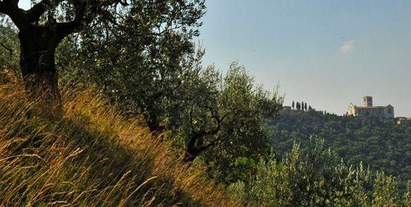 CashmereBC's tweet photo. A beautiful panorama from Umbria's countryside #cashmeredistrict #solomeo http://t.co/F5wZ885uj8