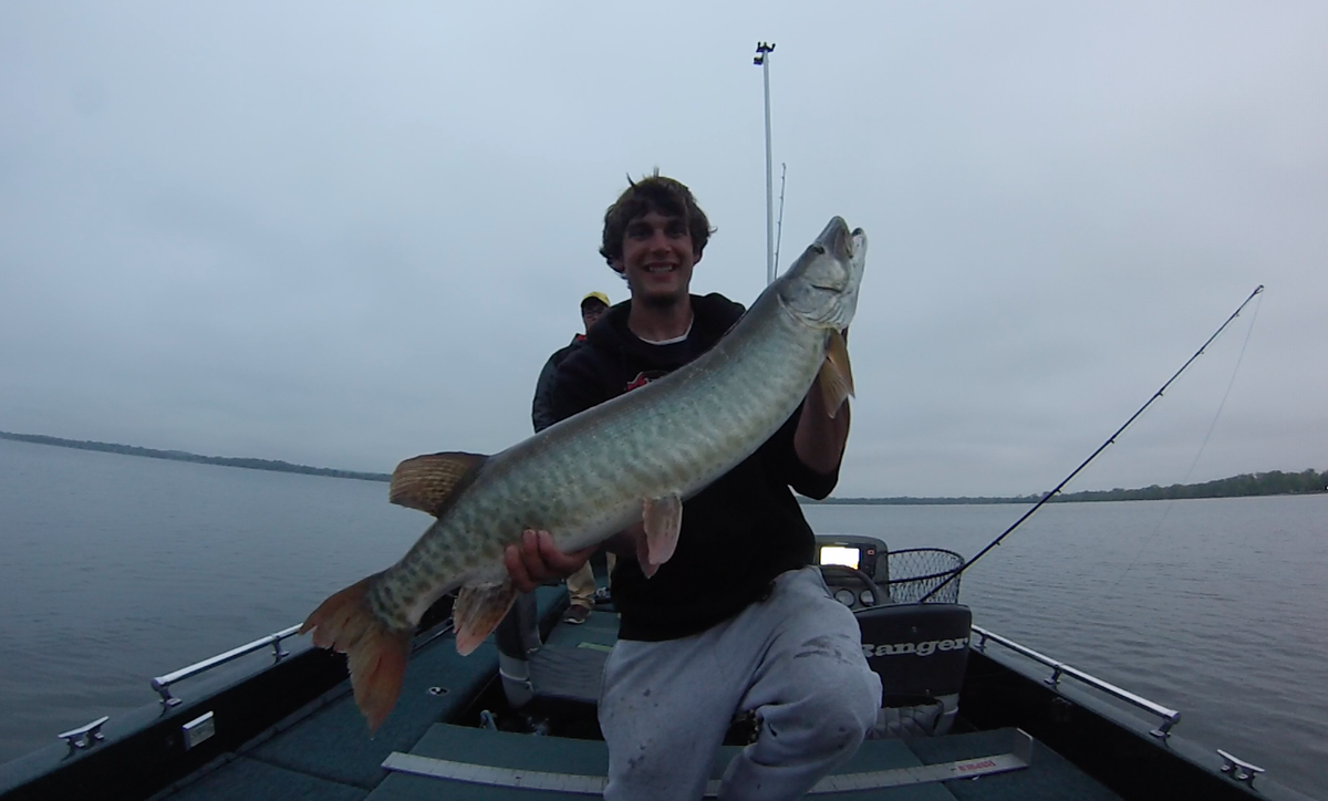 muskyinfinity's tweet photo. @PiscatorMemorys Check out these pair of 40s caught on Sunday  #Coldfront #MuskyInfinity #Madison http://t.co/UCbsNKa9E3