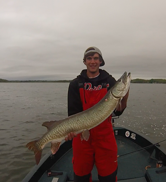 muskyinfinity's tweet photo. @PiscatorMemorys Check out these pair of 40s caught on Sunday  #Coldfront #MuskyInfinity #Madison http://t.co/UCbsNKa9E3