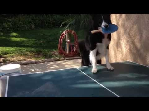 Squeebles tweet media