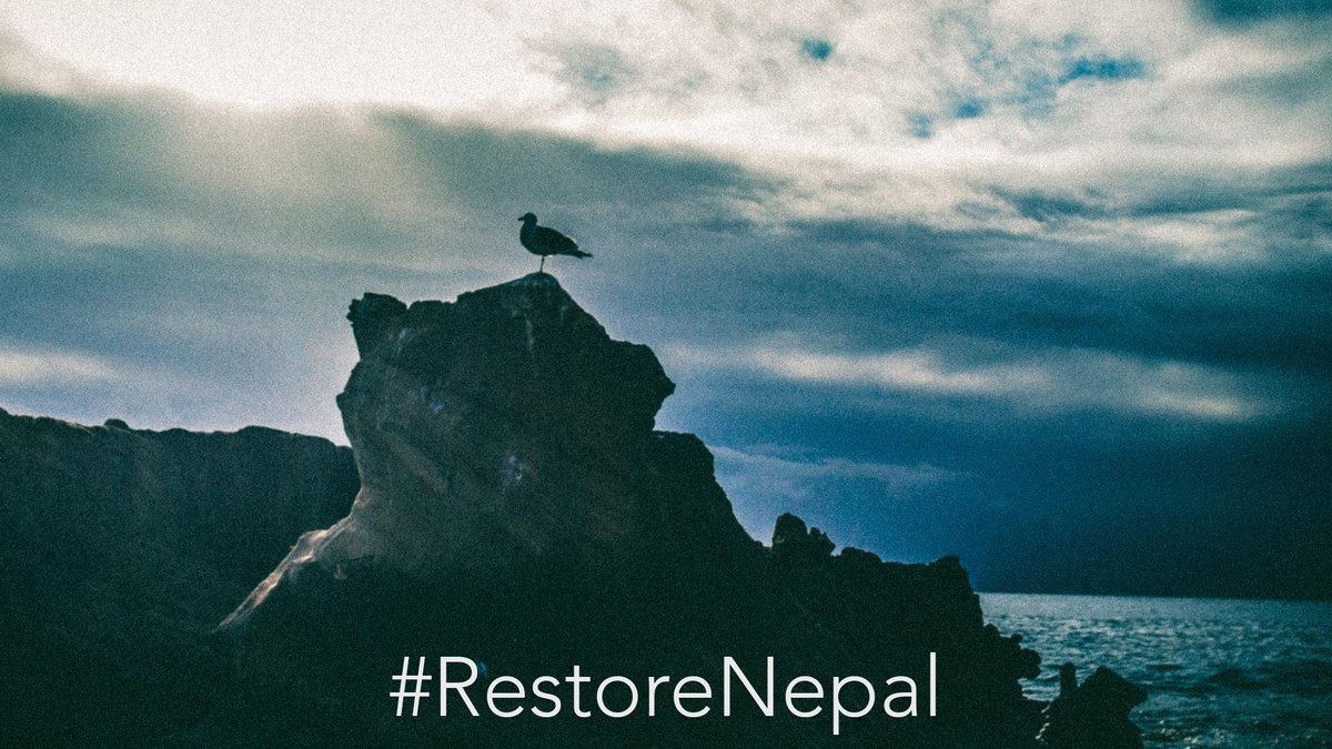 RestoredLove's tweet image. Over $100 in less than an hour! Let's keep the numbers moving! Every RT/Fav, $1 donated to @UNICEF for #Nepal relief!