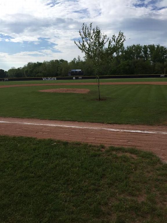 espn's tweet photo. Pranksters planted a tree between the pitcher's mound and home plate at an Ohio high school: http://t.co/zX3NZSiK3s http://t.co/gvM43xbvdr
