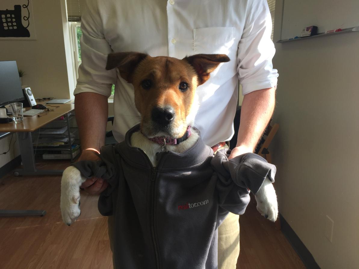 rustyio's tweet photo. @realtordotcom #wearerealtime #fivestreet http://t.co/n79b08DshJ