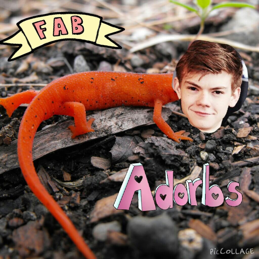 AlyssaCloer's tweet photo. I made an edit today @amandabethbvb @SangsterThomas http://t.co/P4CzTVaAol