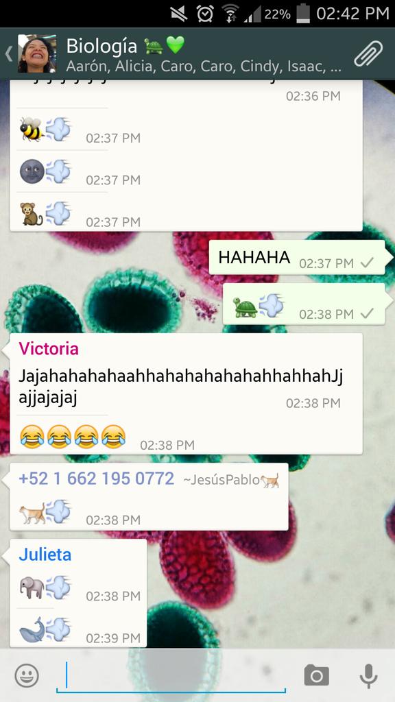 _dianaggg's tweet photo. Conversación normal en el grupo de la generación. #okzz http://t.co/bnchAw28ZJ