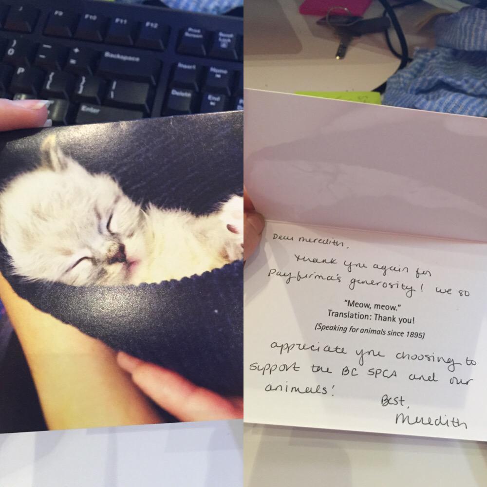 mereBJ's tweet photo. Really appreciate the thank you card from @BC_SPCA ❤️ for @Payfirma's donation #charity #pups http://t.co/S1s4wRCFFb