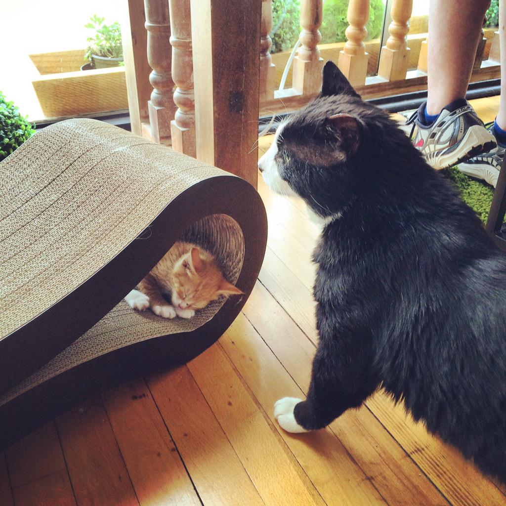 Claude watching over baby Asher