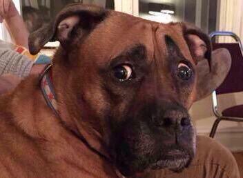 A_A_Ron_Rodgers's tweet photo. When you see your final grades on Howdy portal... #collegeproblems #terrorisreal http://t.co/eRSYQZLmC0