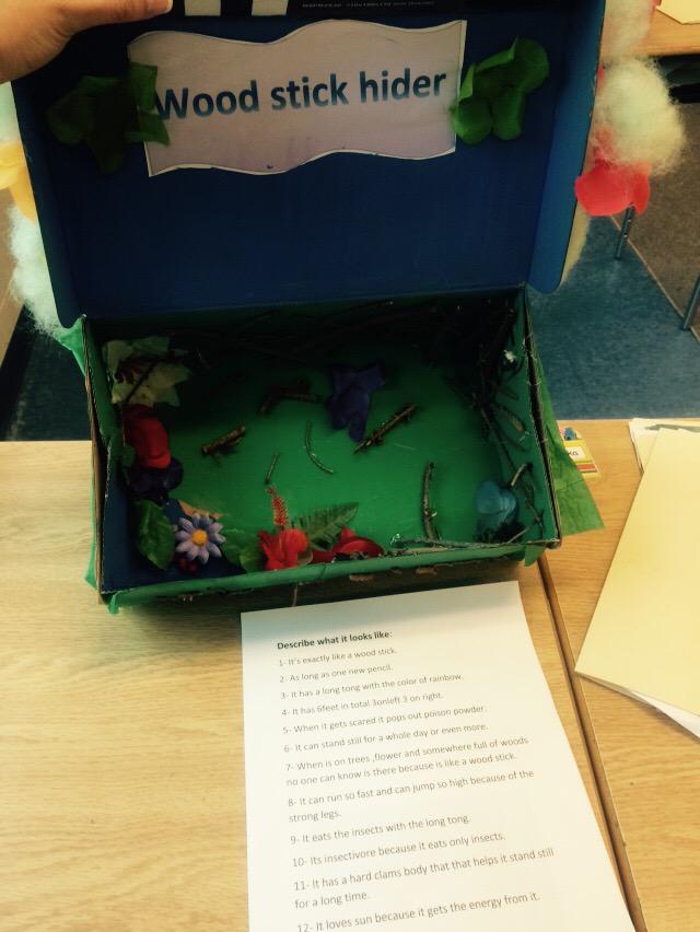 CMelissafc's tweet photo. More outstanding work by the grade fours.  @redmapleps1 #ScienceDioramas. 👏 http://t.co/wBK9jLTir1