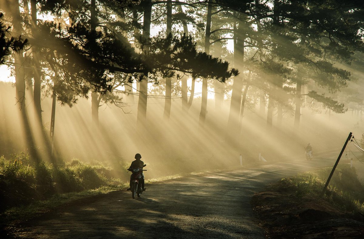 500px's tweet photo. Foggy Road by Terry Dang: https://t.co/x8woDzbwC0 #TravelTuesday #Vietnam http://t.co/TyKPq36fSs