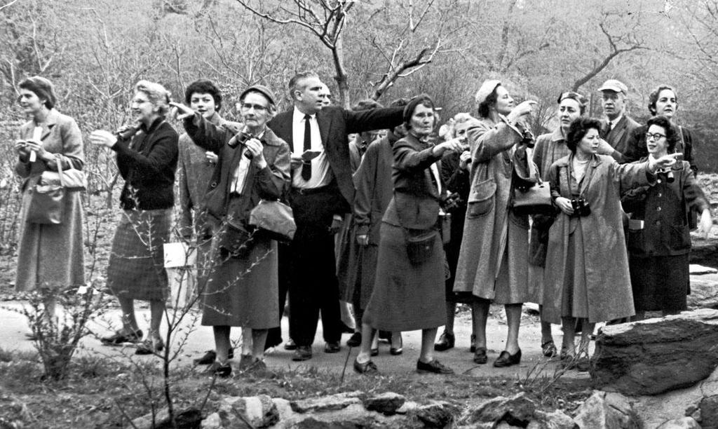 Birdwatchers in Central Park, New York, 1958 
- Photo by Same Falk (NYT) 
| #NYC #NY