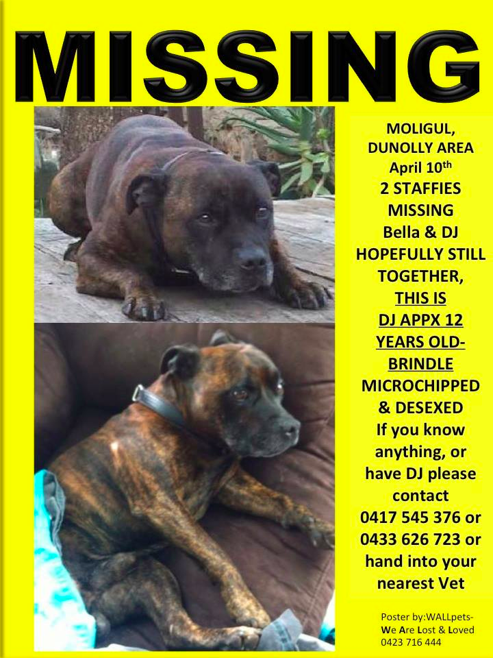 wallpetslost's tweet photo. @wallpetslost Missing since 10th April, hopefully still together. Reward is offered for their return. http://t.co/Z4VtcvDVb8