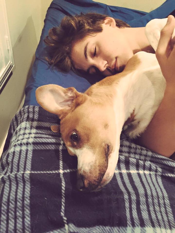 ifsyien's tweet photo. hi matt, if you see this can u follow me please? i love you bby, thanks @TheMattEspinosa 💙 http://t.co/NKVUdOkDp0