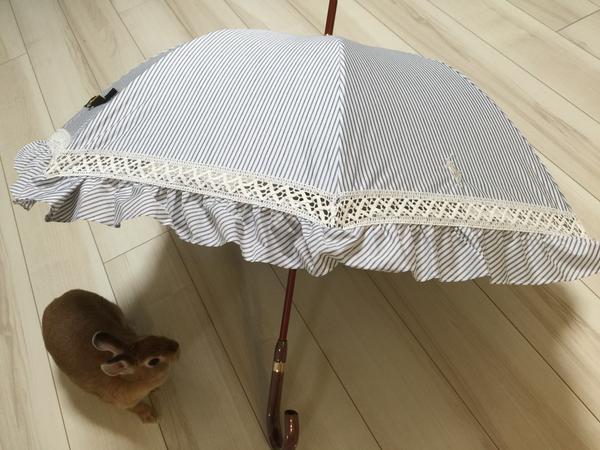 celindawhitham's tweet photo. 昨日は少し早い母の日で
実家に戻ってました
ラデュレのバックとマスクケースをプレゼントしたのだ

母の日用に買い物行ったけど自分用に日傘買っちゃた(≧▽≦)
ちゃんうーもインじゃなぁーいって言ってくれてるのかな(๑ ́ᄇ`๑) http://t.co/Dd5fBcMxc7