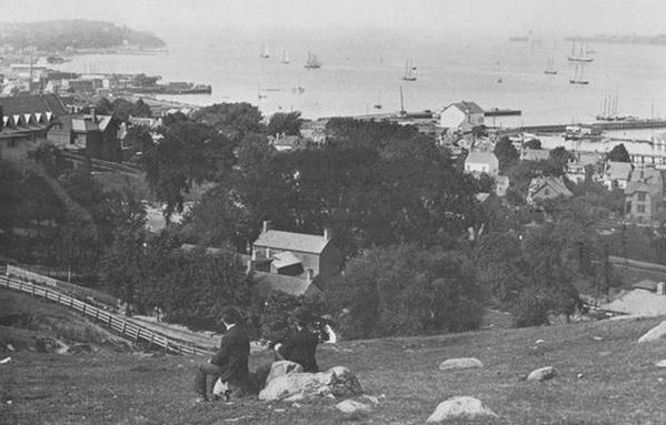Two Gentlemen Enjoy the View From Bay Ridge Overlooking the Narrows, Brooklyn, New York, 1888 
| #NYC #NY