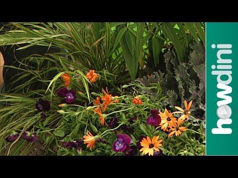Eco_ArtProject's tweet photo. Gardening: How to plant a mixed container http://t.co/hKoO3efeWv #staged http://t.co/K6s4c1pzDw