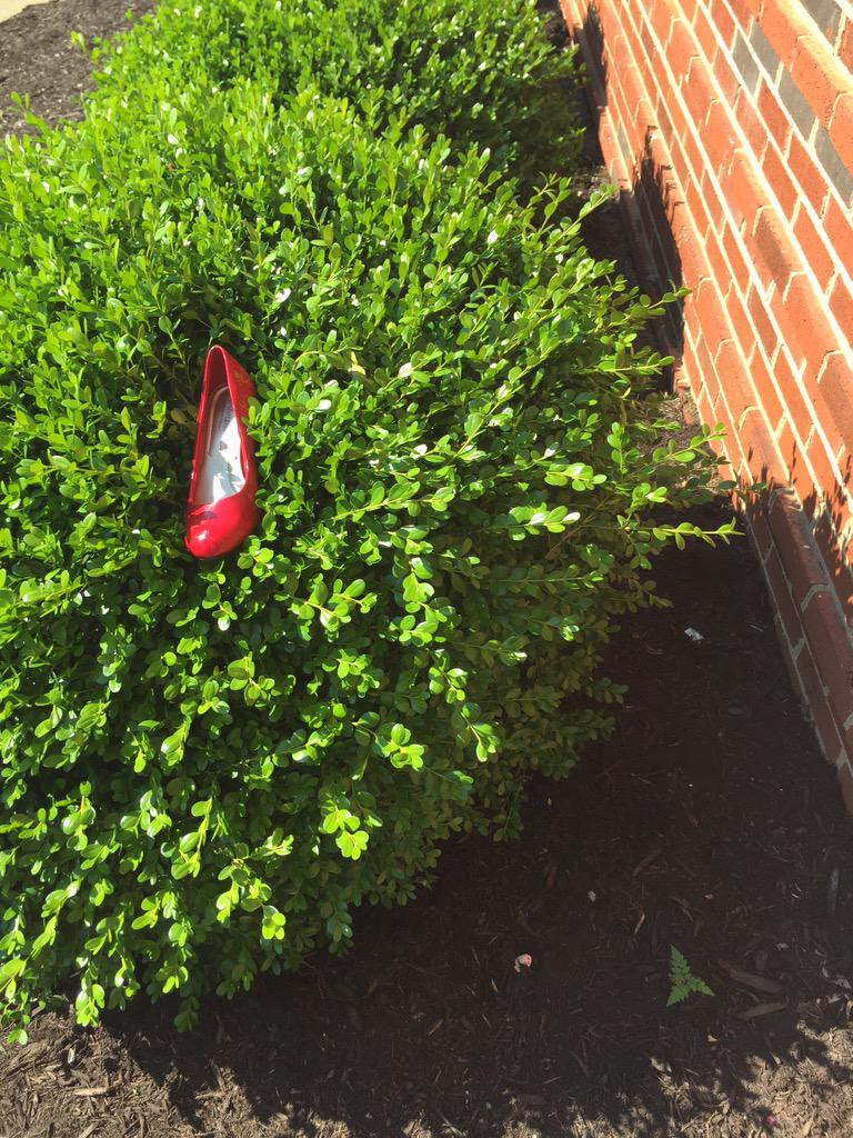 lindsayloper's tweet photo. So for the last two weeks of school this red heel was moved around outside our dorm door almost everyday 😂 #shadlife http://t.co/oyrviiAIHZ