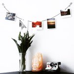 Photo by Polaroid Fotobar (@fotobar)