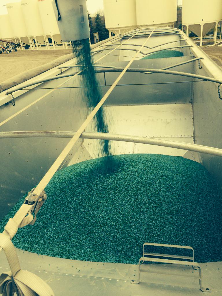 CaleJefferies's tweet photo. Some soybeans leaving Jefferies Seeds today! #bulkbeans http://t.co/5CAlHrLlmL