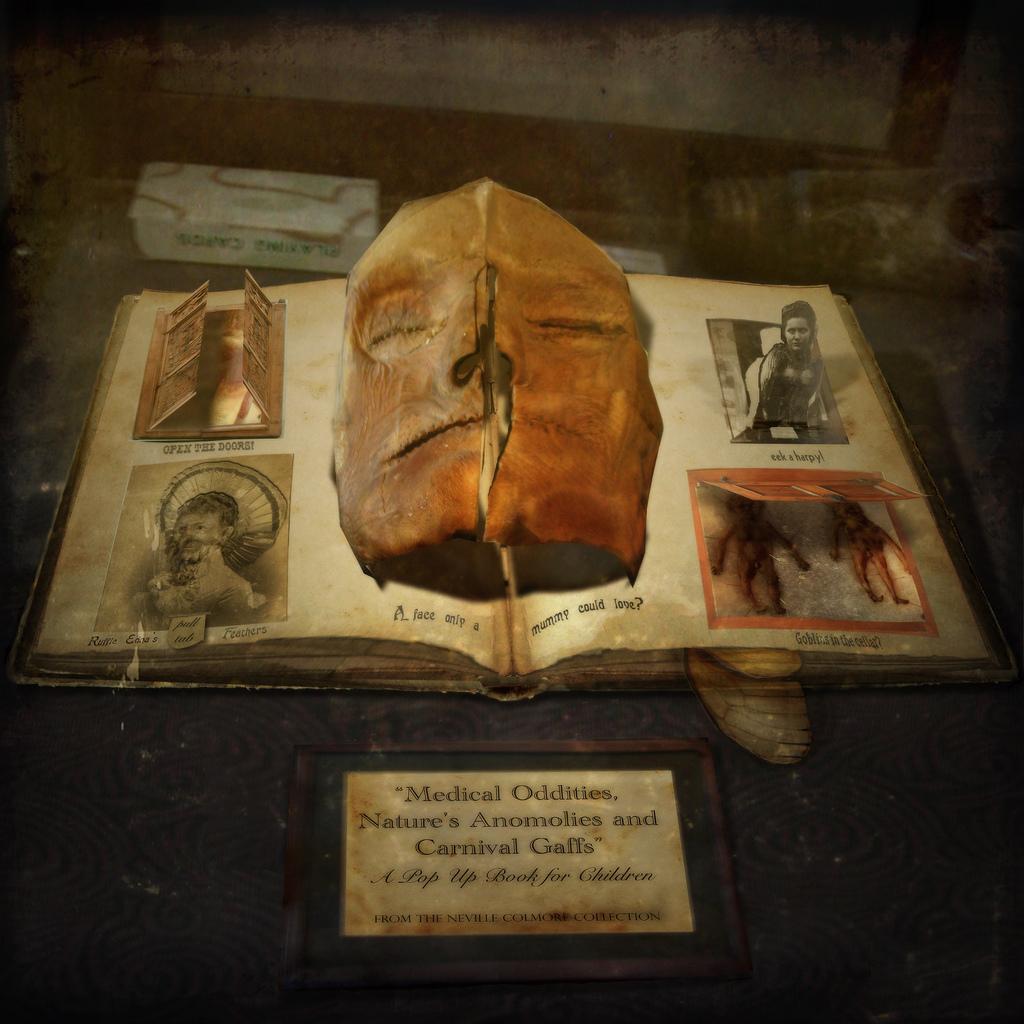 Mutter Museum Pimple