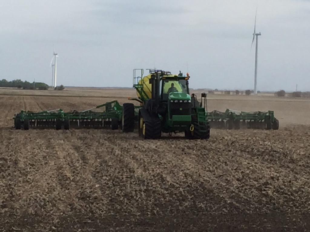 RoncerayDan's tweet photo. @MelissaDOakes #canola trial @syngentacanada seed treatment on #sy4135 http://t.co/td2uahV3Bu