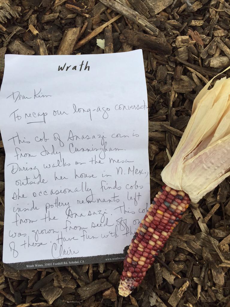 TheFarmer_Kim's tweet photo. #HistoryLessons #AncientCorn @teachinggardens @WholeKidsFnd @NRCSTexas #GardensBuildFriendships @ntfb http://t.co/FaZceend16