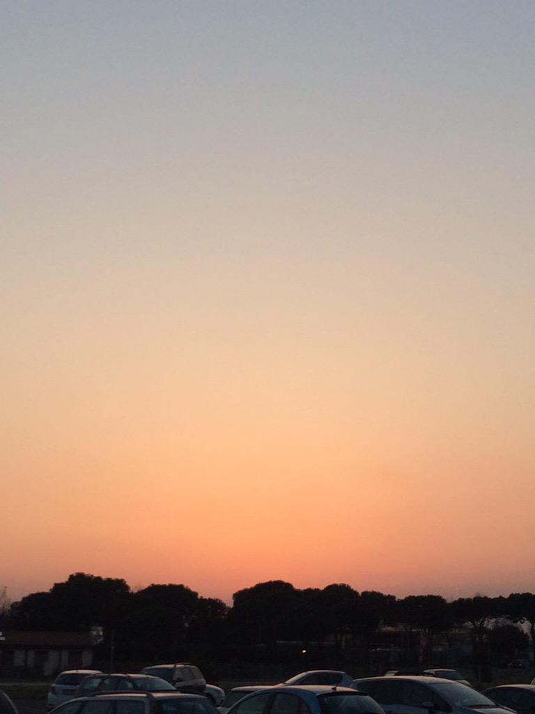 Mr_Tozzo's tweet image. Buongiorno a tutti i followers !! #daje #buongiorno #toxnetlab #life