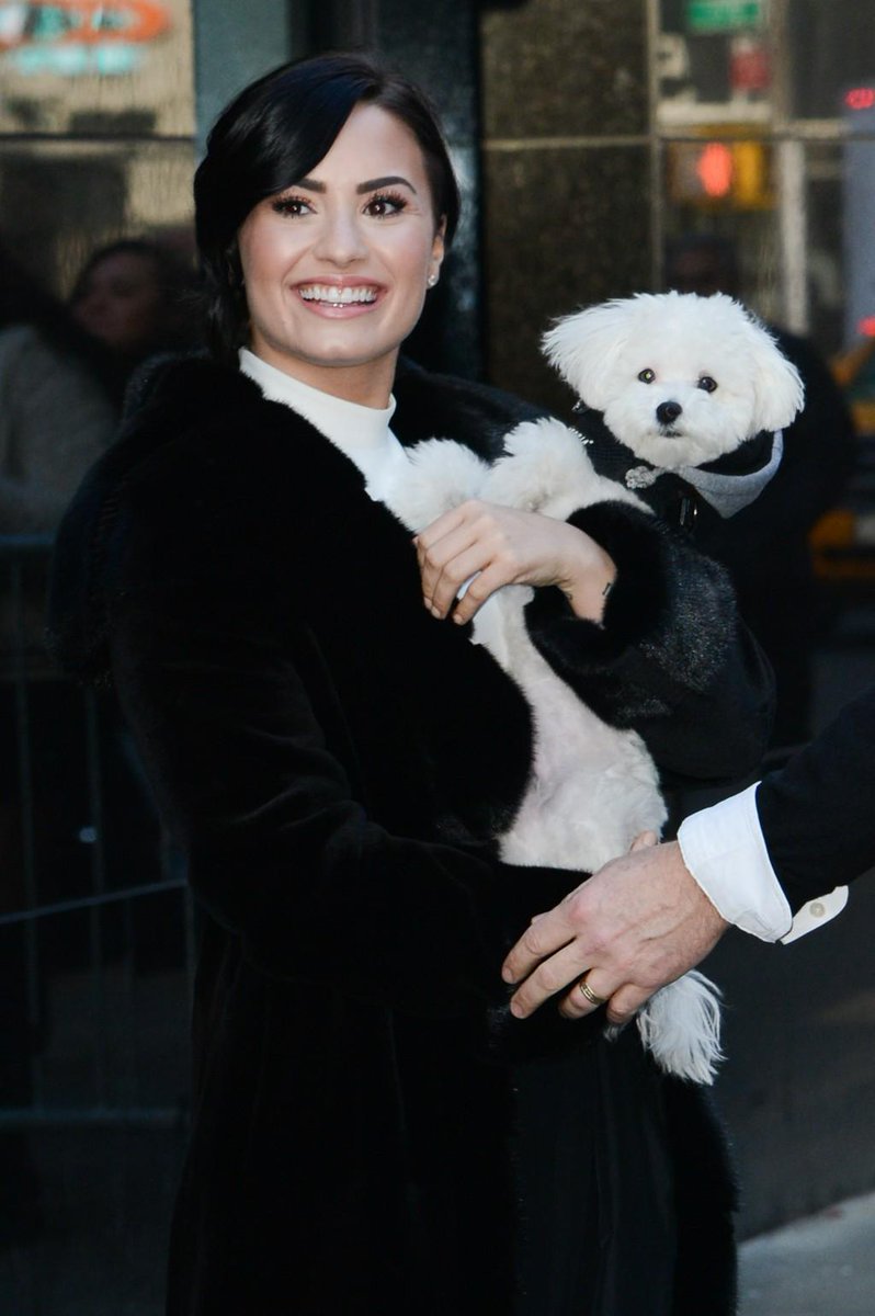 Cosmopolitan's tweet photo. 16 Things You Should Know Before Dating a Girl With a Dog http://t.co/8Zg6U3gfOD http://t.co/QKNsYOR9FH