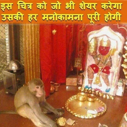 Singhdh90052's tweet photo. http://t.co/bwgCDbDZUk