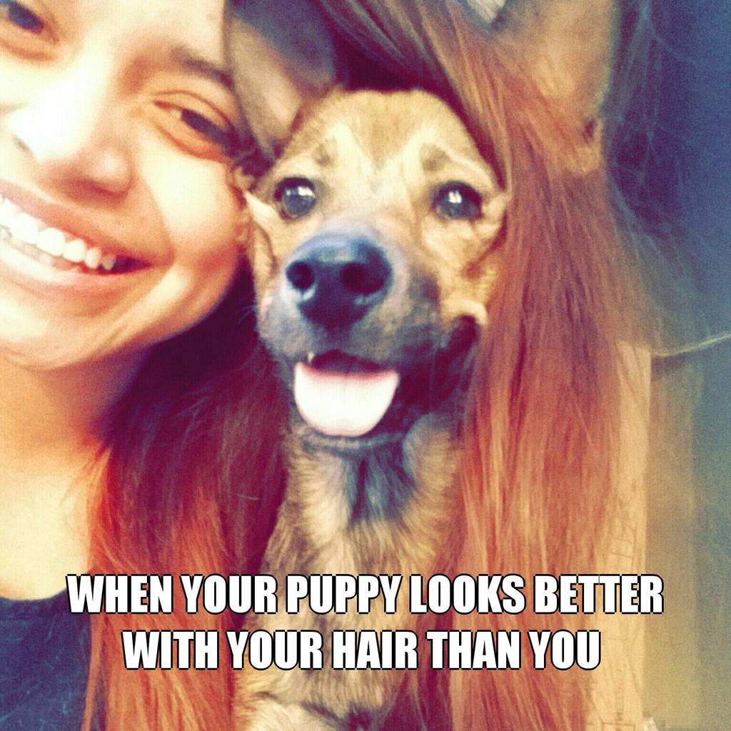 KikssM's tweet photo. First post on the #TeeHeeApp! Perfect app for my randomness and weirdnessπππ #TeeHee #mememadness @TheRealRyanHiga http://t.co/OHBMjbITvs