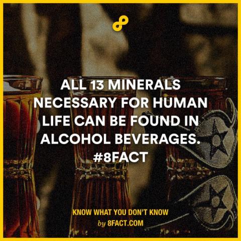 Life's essential. <a href="/8factapp/">8FACT</a> #BoozedayTuesday