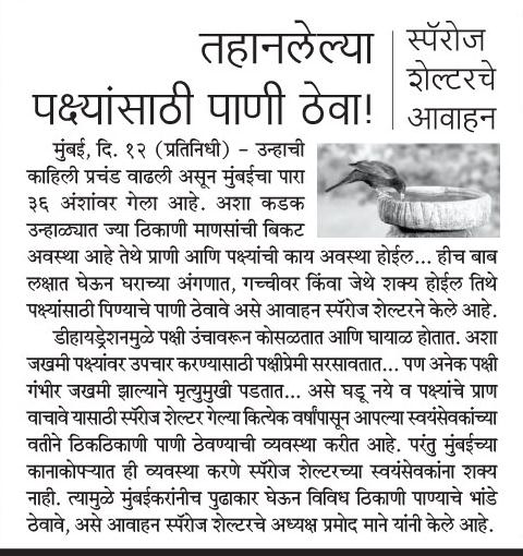 savebird's tweet photo. Today's Samanaa page 9 http://t.co/S0GxPGzJZL