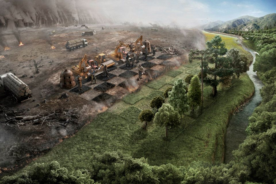 NaturPictures's tweet photo. Este es un juego que la naturaleza no puede ganar.
#CombateElDespilfarro http://t.co/y7ssKwZy4Q