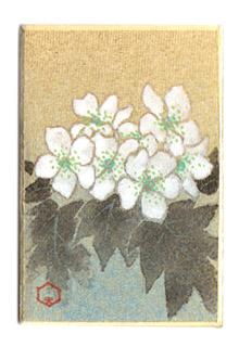 日本の誕生花 ５月１３日の誕生花 山査子 さんざし 花言葉 希望 キリストの茨の冠はサンザシだったらしい 魔除け の霊力があるとされます 薬草になることでも知られるけれど 花は小さく群れ成すかわいさ 実も赤くて円満な形 Http T Co