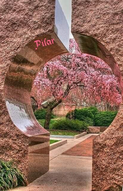 pilorys3 tweet picture
